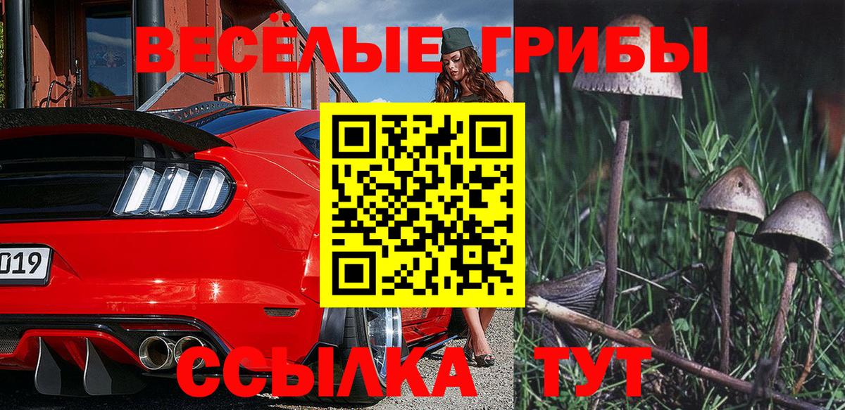 Галлюциногенные грибы прущие грибы Смоленск